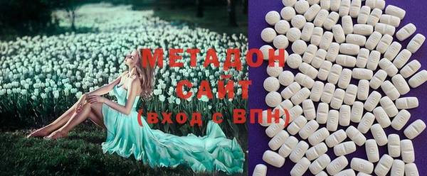 шишки Елизово