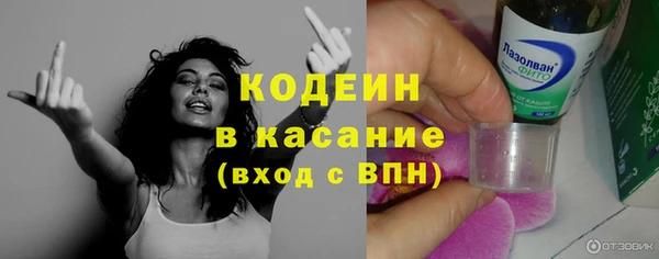 шишки Елизово