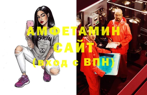 шишки Елизово