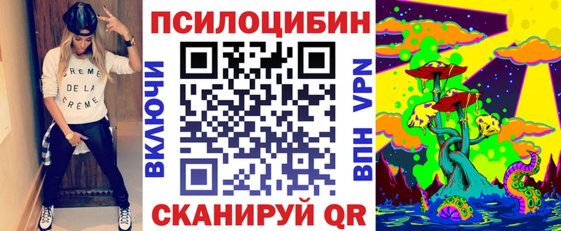МЕГА маркетплейс  Жирновск  Галлюциногенные грибы GOLDEN TEACHER 